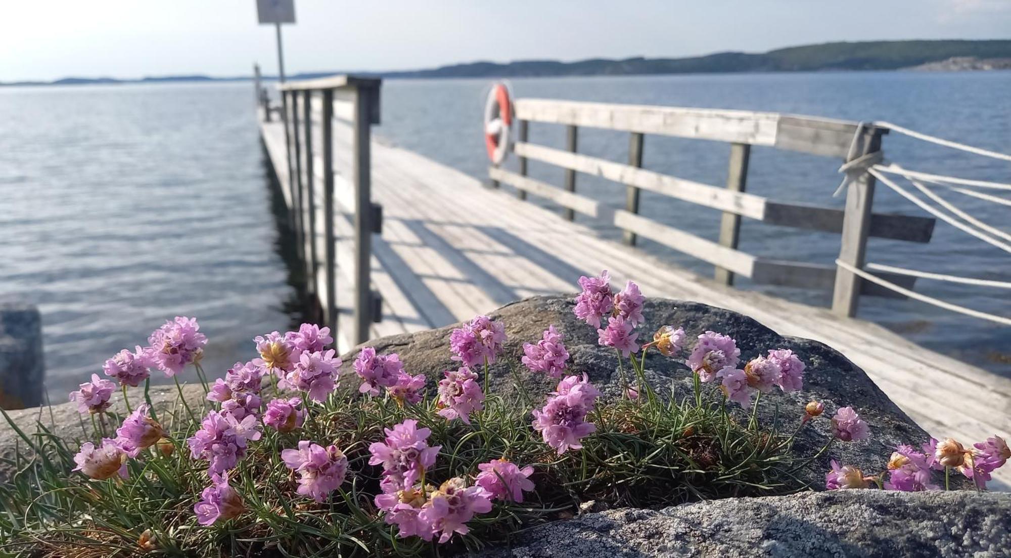 Tofte Guesthouse Naera Hav, Bad Och Marstrand Lycke Exterior foto